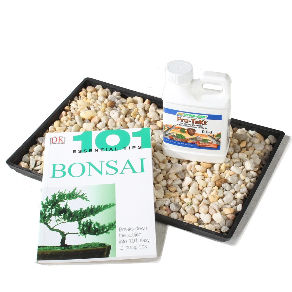 Humdity tray, Pro-Tekt and 101 Essentails Book