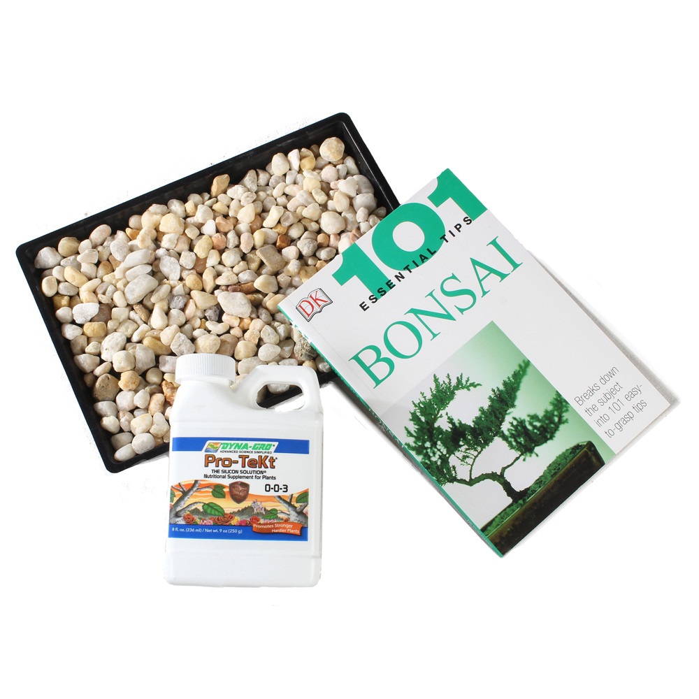 Humdity Tray, Pro-Tekt and 101 Essentail Tips book