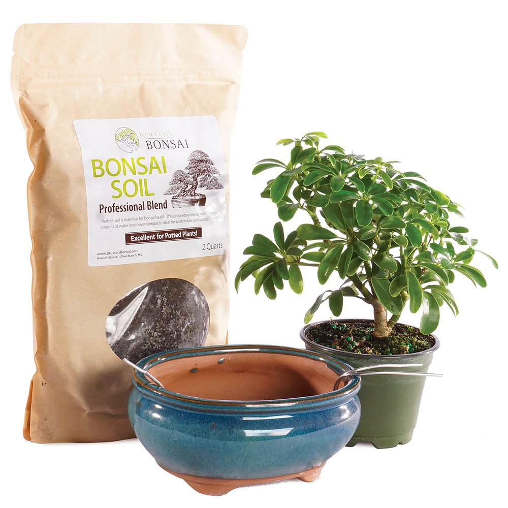 a bag of soil next to a potted plant