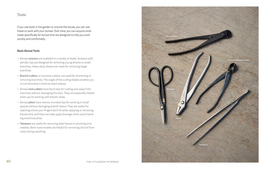 A book surrounded by scissors and various crafting tools, showcasing a creative workspace