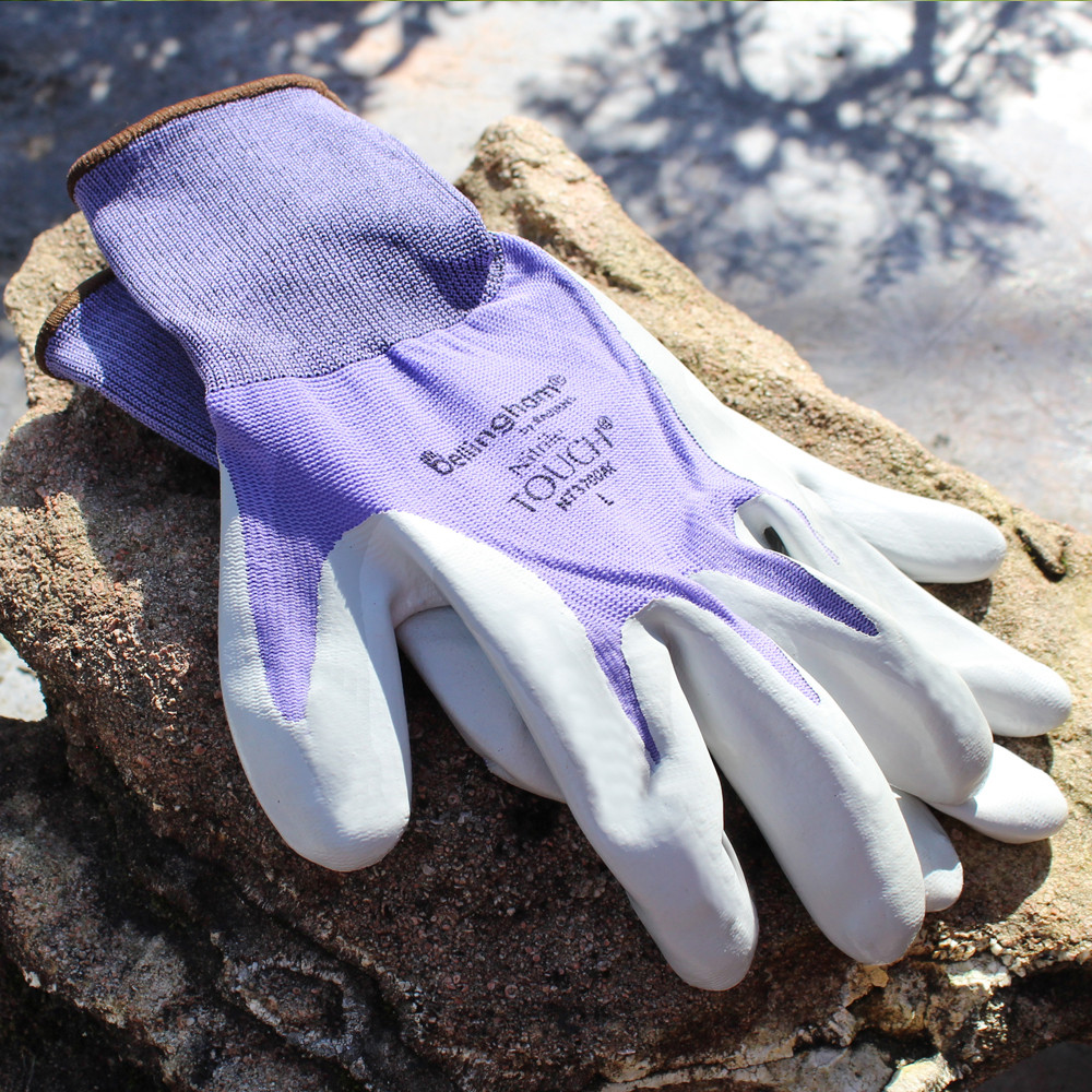 Nitrile Touch Gloves Large - SPNT3700ACL - Brussel's Bonsai