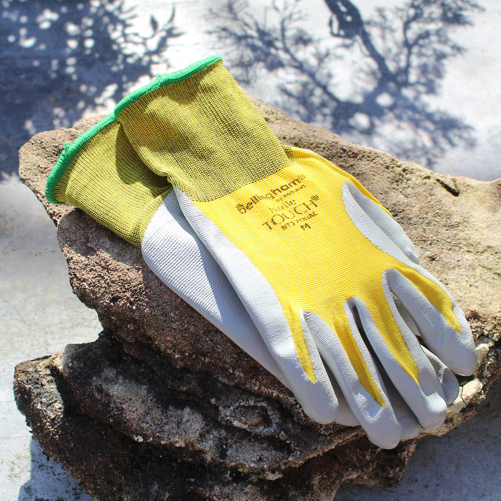 Nitrile Touch Gloves Medium - SPNT3700ACM - Brussel's Bonsai