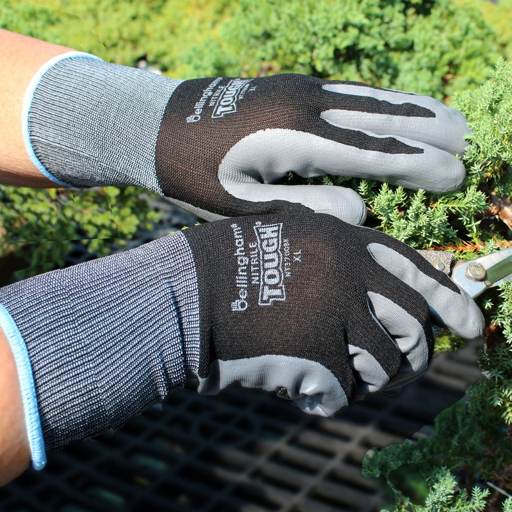 A gloved individual trimming a small tree with pruning shears, surrounded by greenery