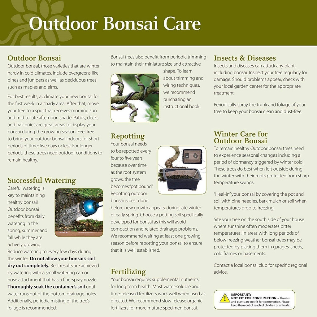 Indoor poster detailing various bonsai types and their care instructions, featuring illustrations and informative text.