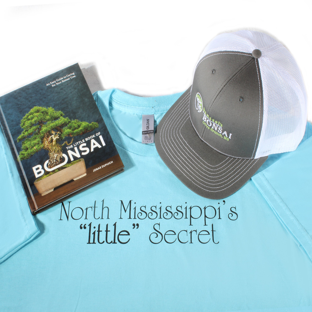 a shirt and hat on a white background