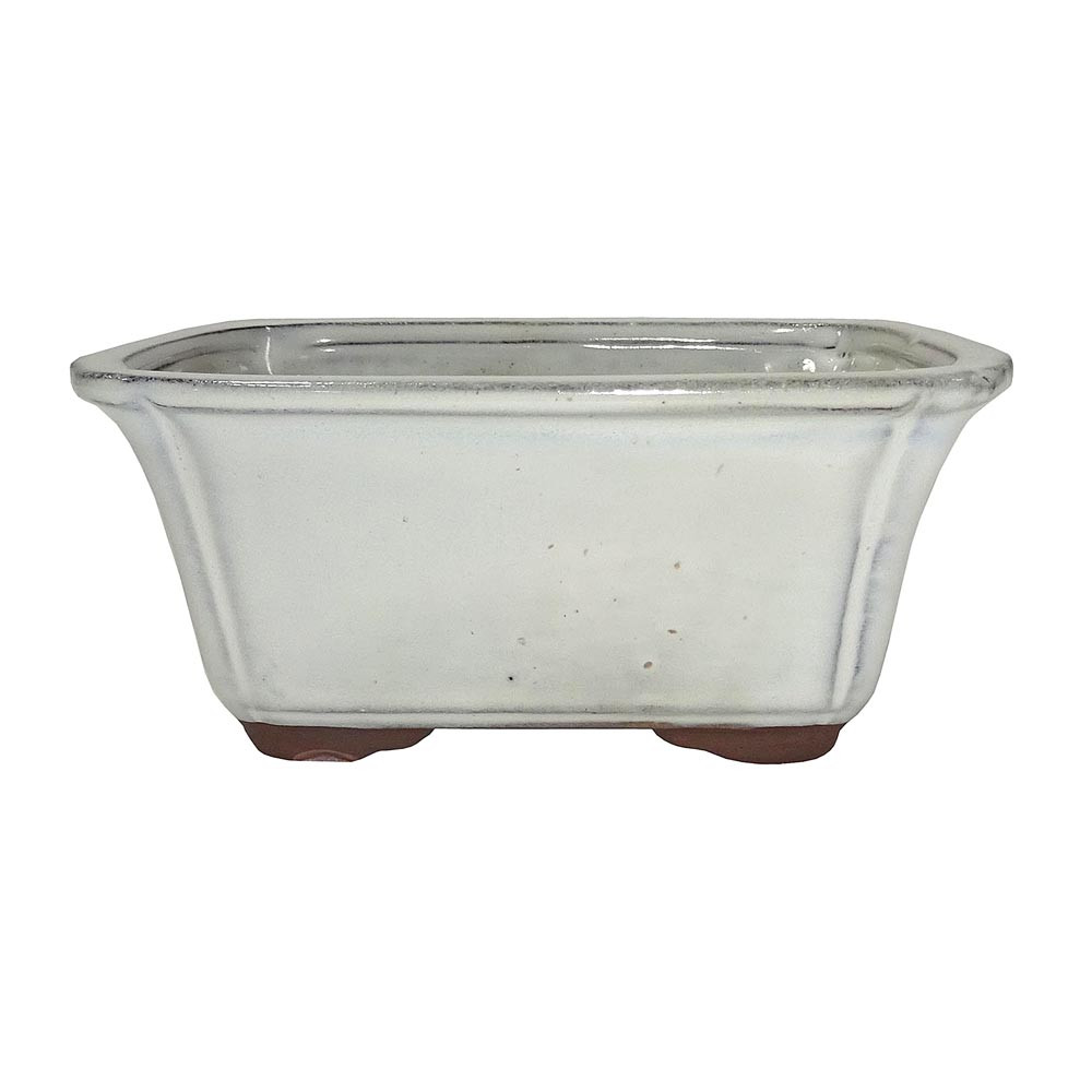 a glass container with feet
