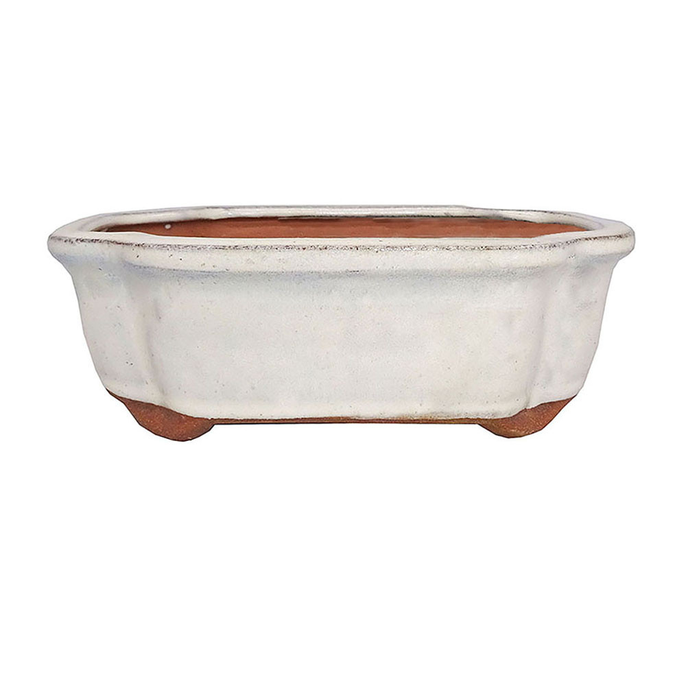 a white and brown rectangular pot