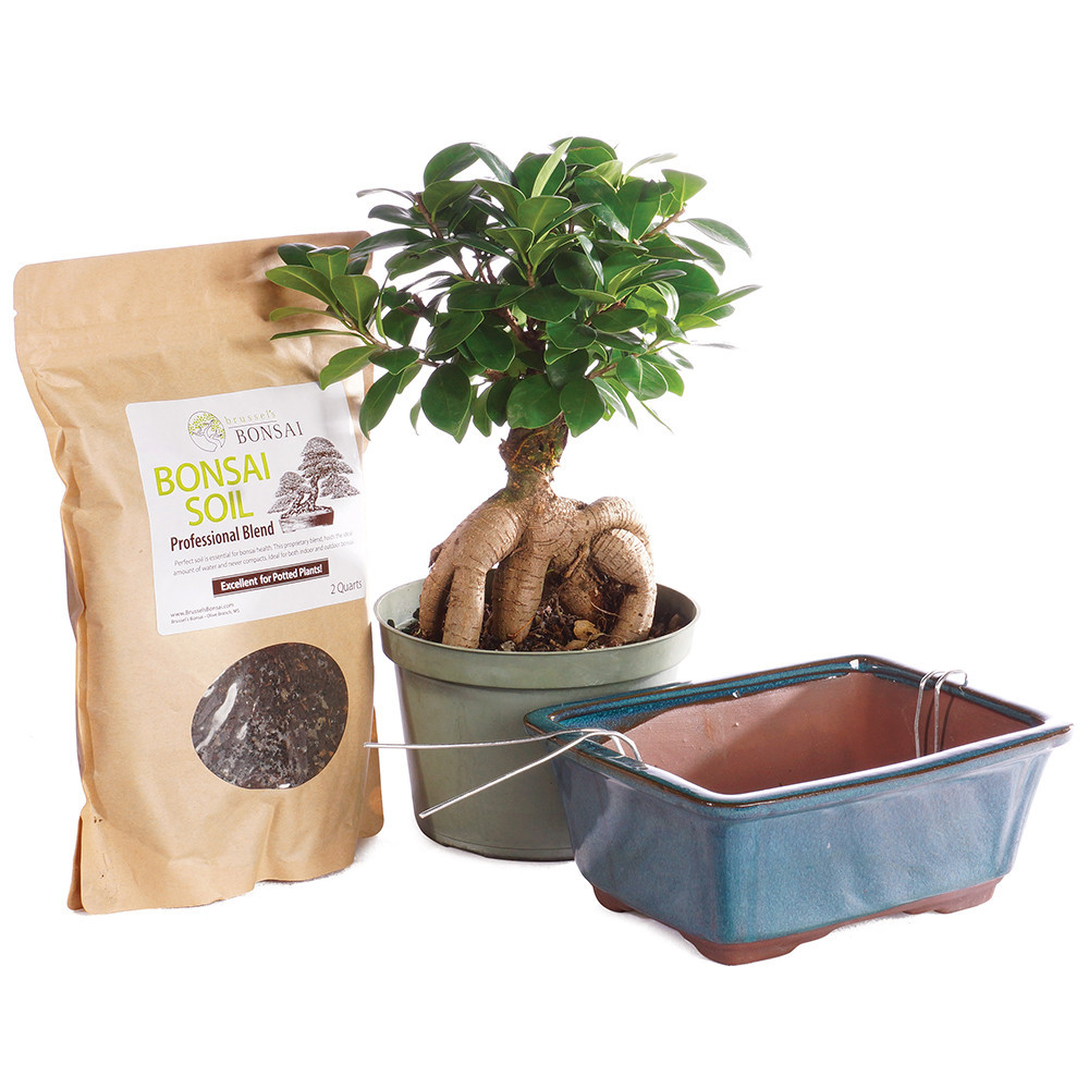 babylffel bambus Matcha-Lffel
