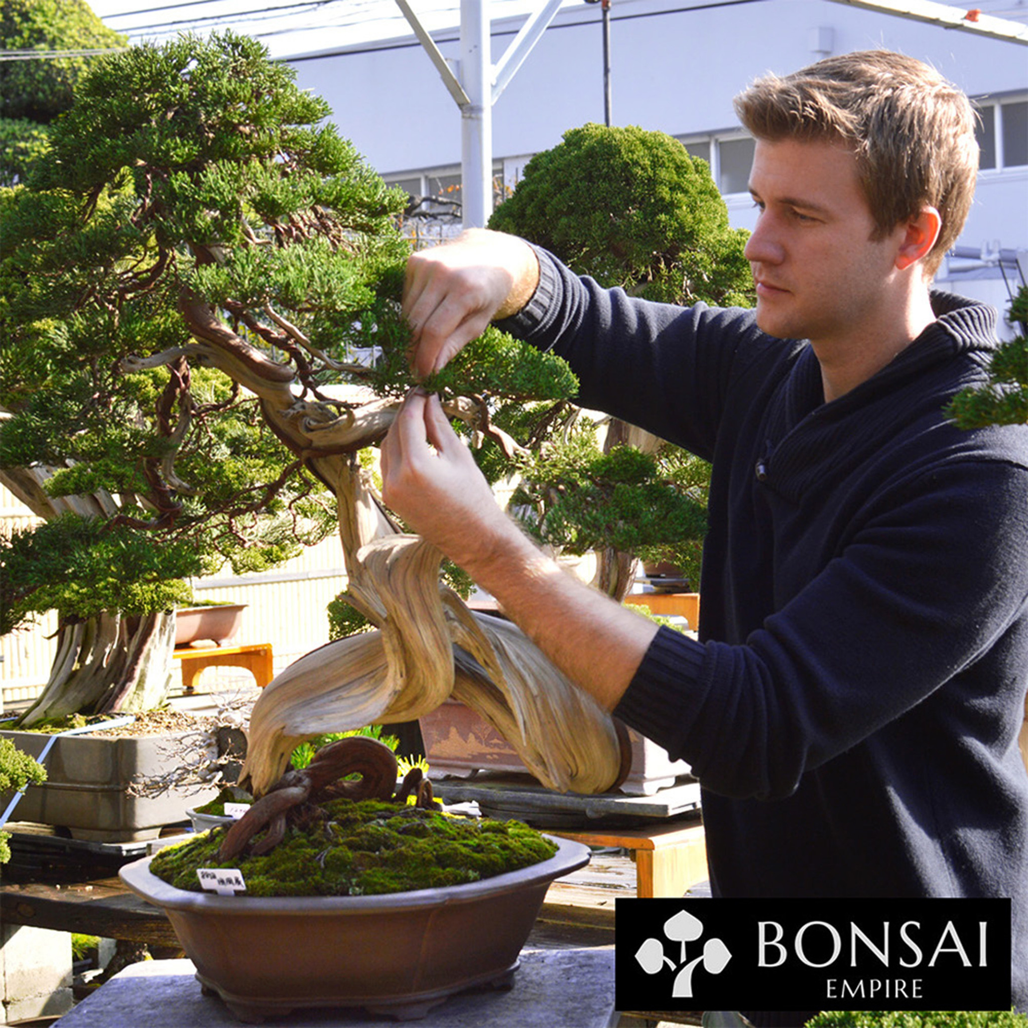 Bonsai Beginners Course Brussel's Bonsai