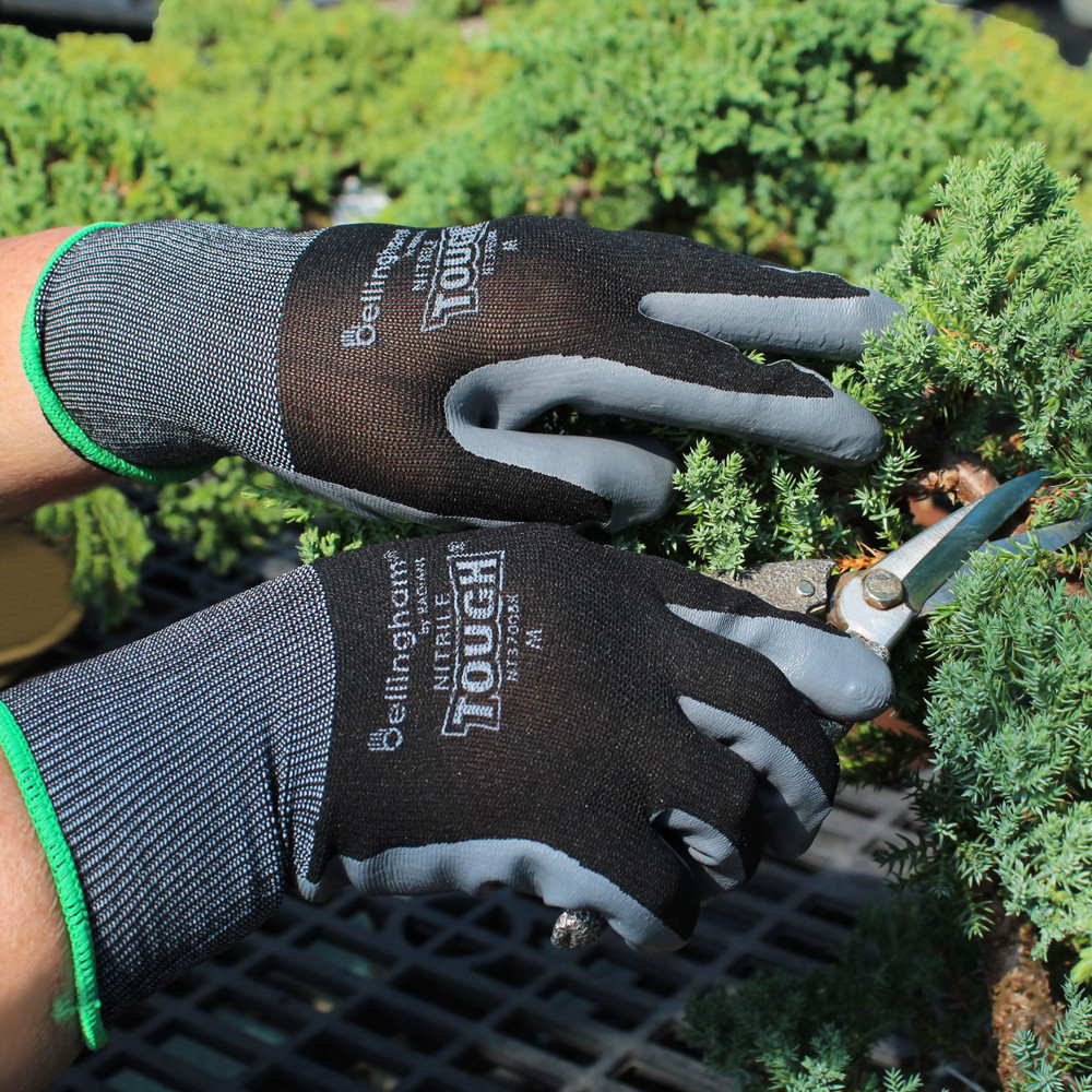 Nitrile Tough Gloves Medium - SPNT3700BKM - Brussel's Bonsai