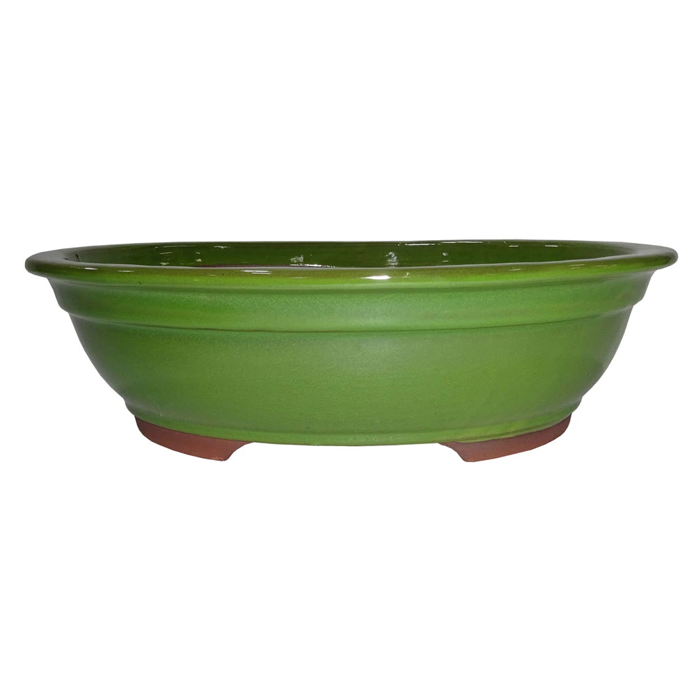 Medium Serpent Green Oval Pot - CGO38-8STG - Brussel's Bonsai