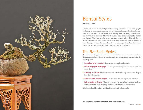 a book provide details of a bonsai tree