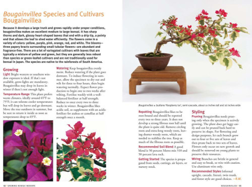 a book provide details of a bonsai tree