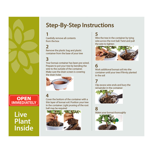 Diagram showing eight-step instructions for planting a live plant, with accompanying photographic illustrations for each step.