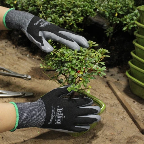 A gloved individual trimming a small tree with pruning shears, surrounded by greenery