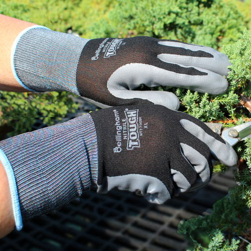 A gloved individual trimming a small tree with pruning shears, surrounded by greenery