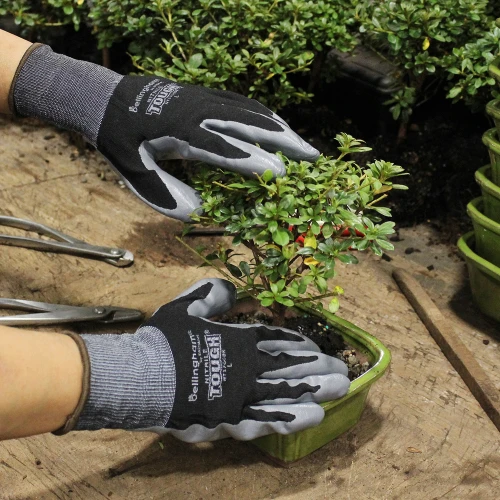 A gloved individual trimming a small tree with pruning shears, surrounded by greenery