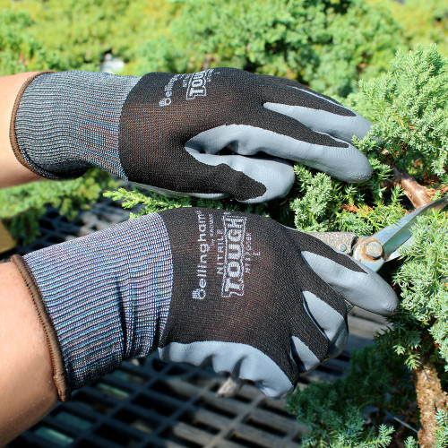 Nitrile Tough Gloves Large- SPNT3700BKL - Brussel's Bonsai