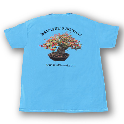 Large Brussel's Bonsai T-Shirt - SPTSHIRTL