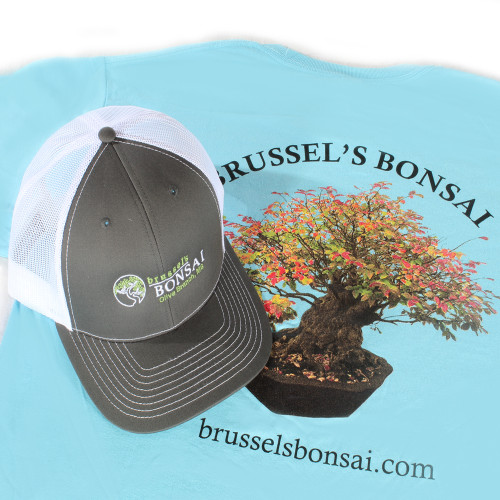 Large Tshirt and Cap - SPSCL - Brussel's Bonsai