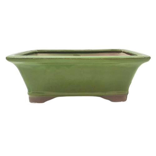 Large Serpent Green Oval Pot - CGO3-10STG - Brussel's Bonsai