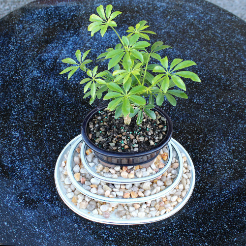 Oval Suiban Set - CGSOSET