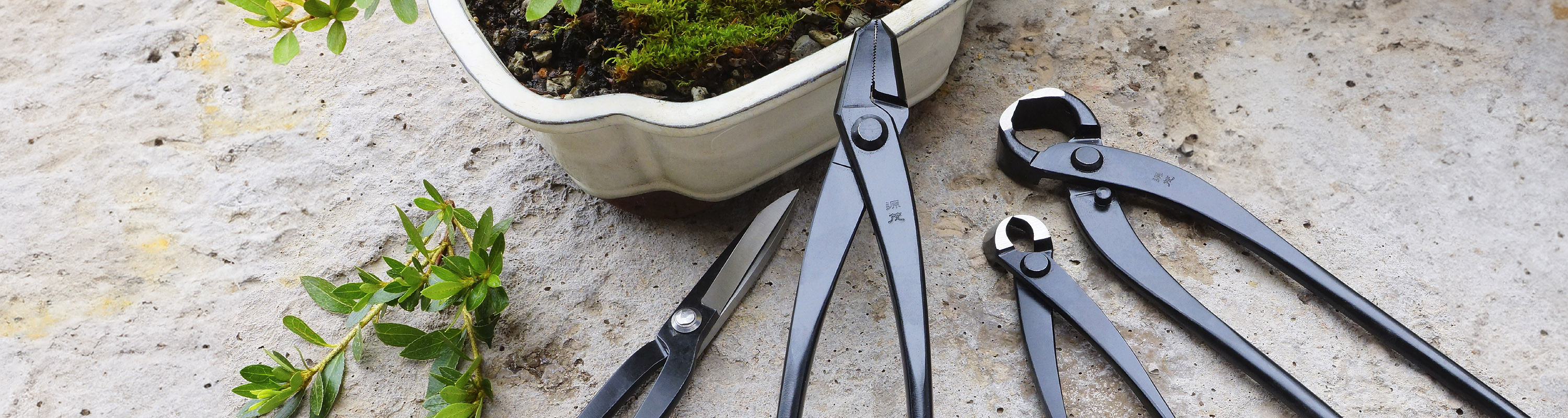 A Great Time to Upgrade Your Bonsai Tools