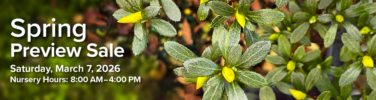 Spring Preview Sale 2026