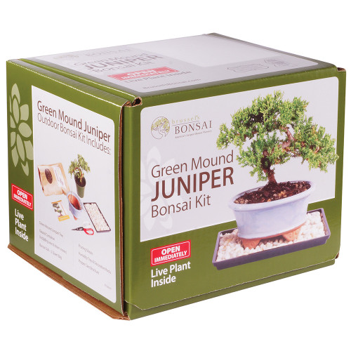 green-mound-juniper-kit-small-