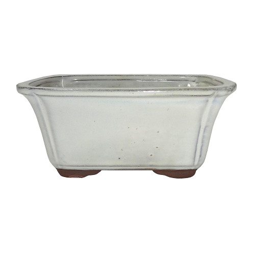 Brussel's Bonsai Large New Cream Oval Pot, New Cream Glazed Finish