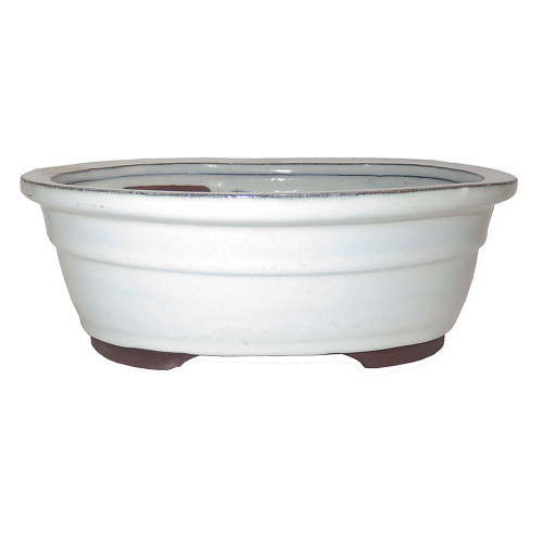 Japanese High Quality Cream Glazed Oval Bonsai Pot 15