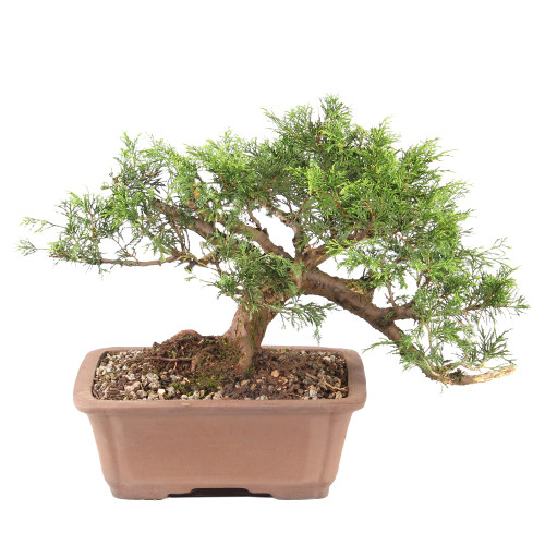 ST7325SJ-G_sm__11667.