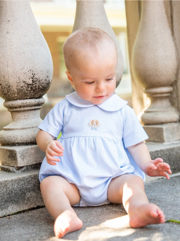 Spotted Boy Puppy Bubble - Blue Mini Stripe