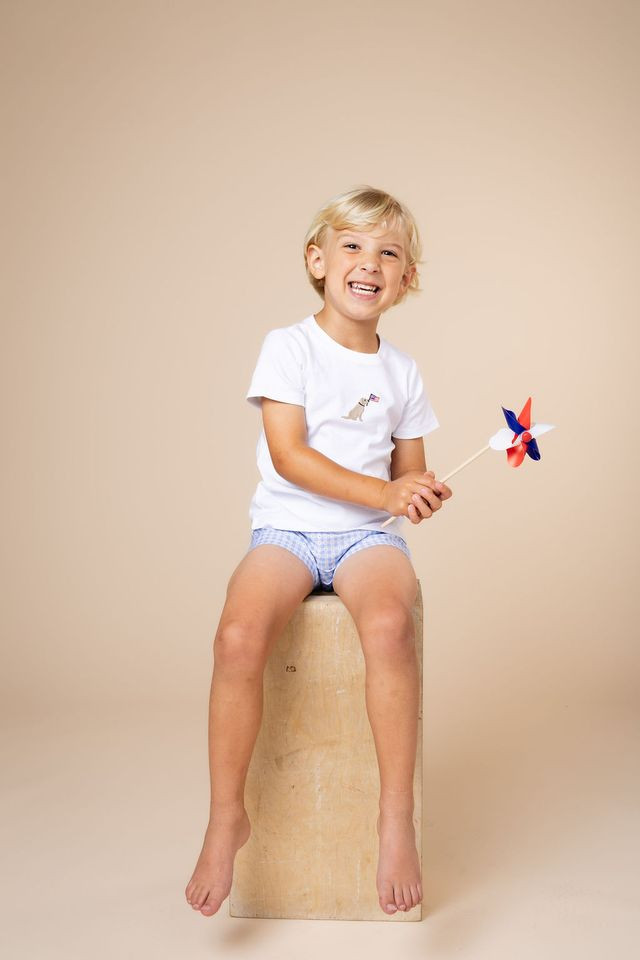 Embroidered Tee and Short Set - Patriotic Puppy, Patriotic Plaid