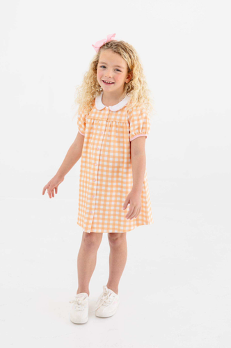 Tabitha's Teacher's Pet Dress (Heavy Weight Knit) - Seashore Sherbet Gingham