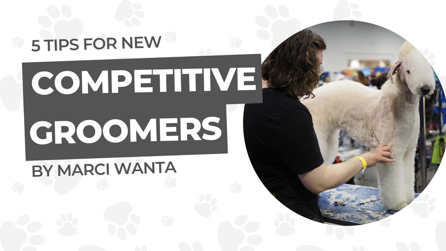 5 Tips for New Competitive Groomers