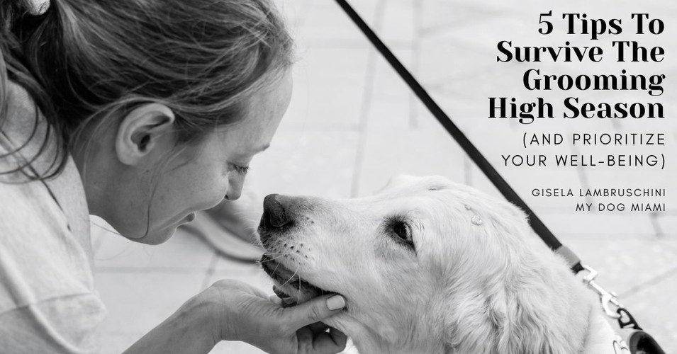 5 Tips to Survive the Grooming High Season (and Prioritize Your Well-Being)