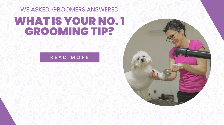 Q&A: What is Your No. 1 Grooming Tip?