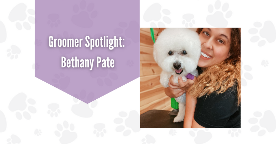 Groomer Spotlight: Bethany Pate