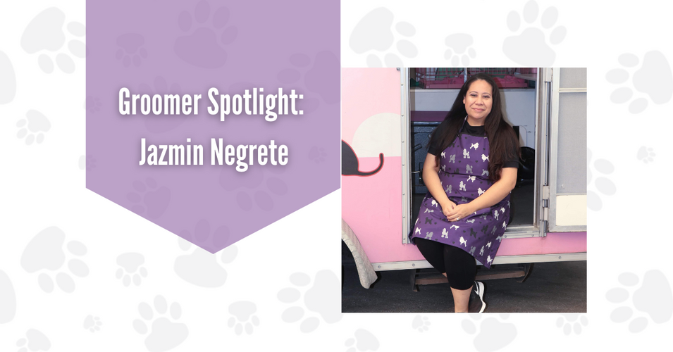 Groomer Spotlight: Jazmin Negrete and A Brand New Dog