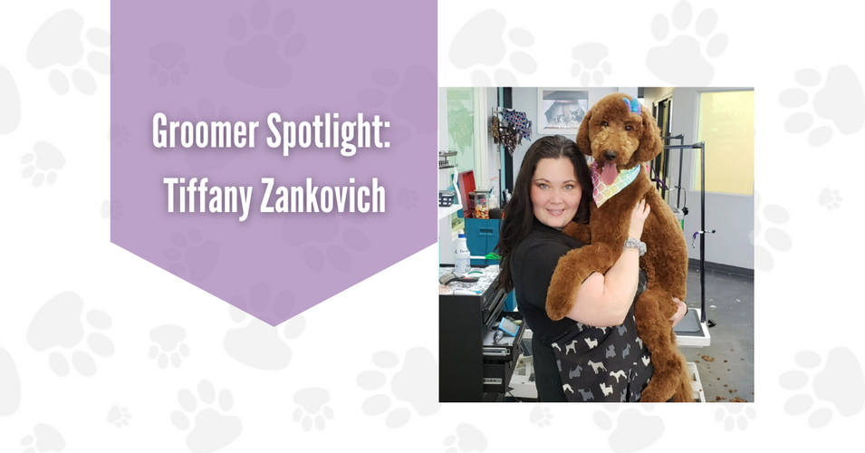 Groomer Spotlight: Tiffany Zankovich and PawSpa Salon & Daycare