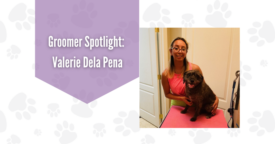 Groomer Spotlight: Valerie Dela Pena and Valz Pawfect Kutz