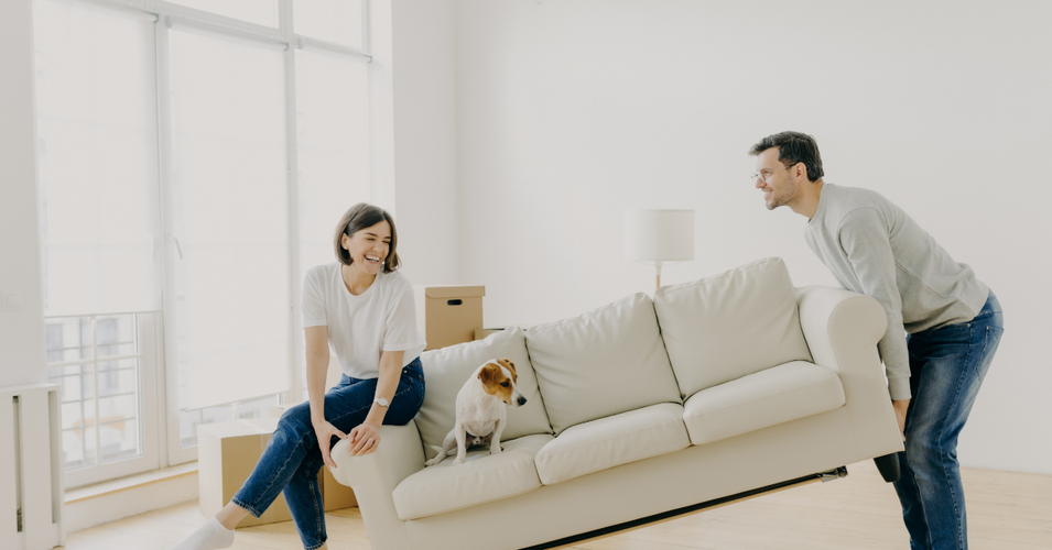 Moving With A Dog: 11 Tips For a Stress-Free Process