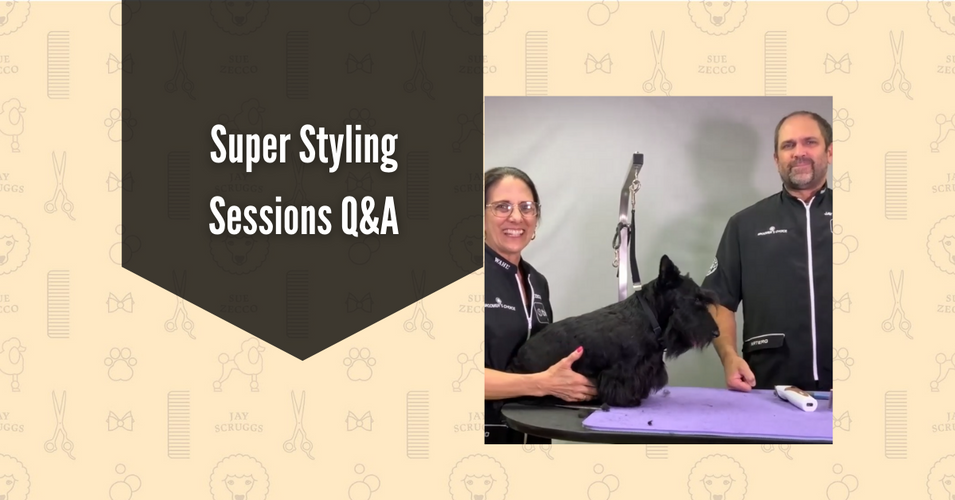 Super Styling Sessions Q&A with Jay Scruggs and Sue Zecco