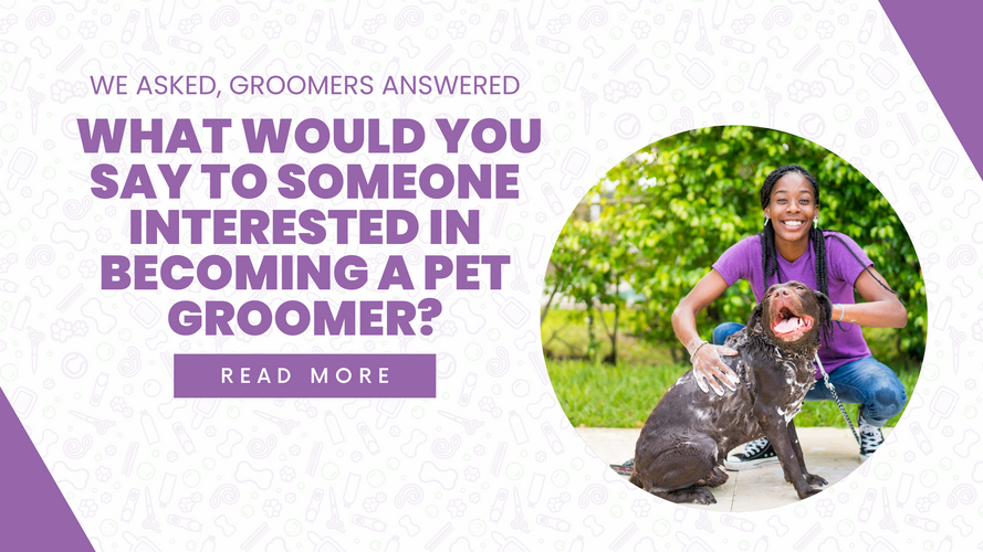 What Would You Say to Someone Interested in Becoming a Pet Groomer?