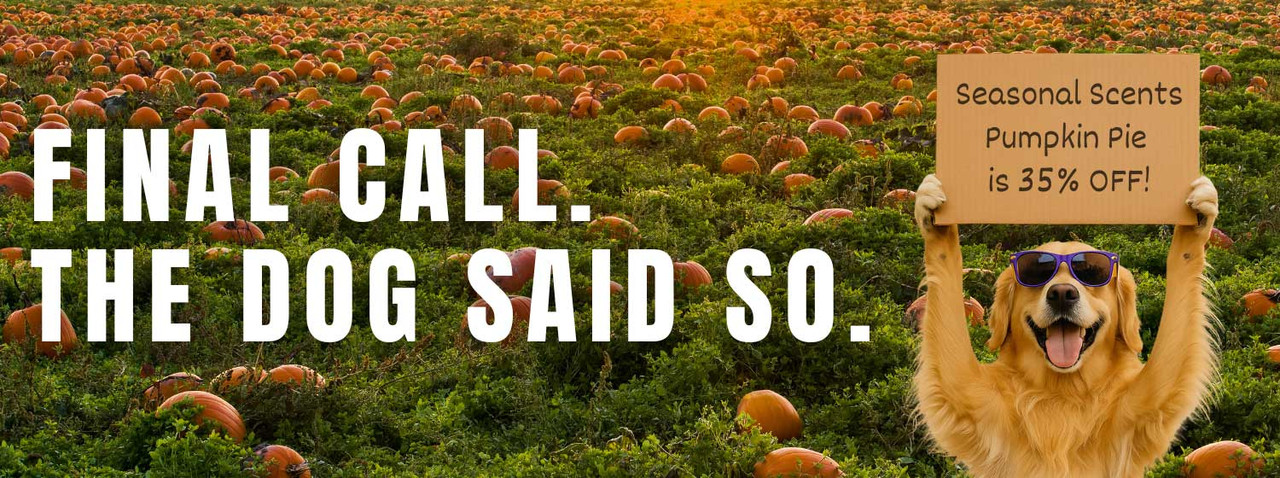 Golden retriever wearing sunglasses holds a cardboard sign reading "Seasonal Scents Pumpkin Pie is 35% OFF!" in a pumpkin patch at sunset, with large white text saying "FINAL CALL. THE DOG SAID SO."