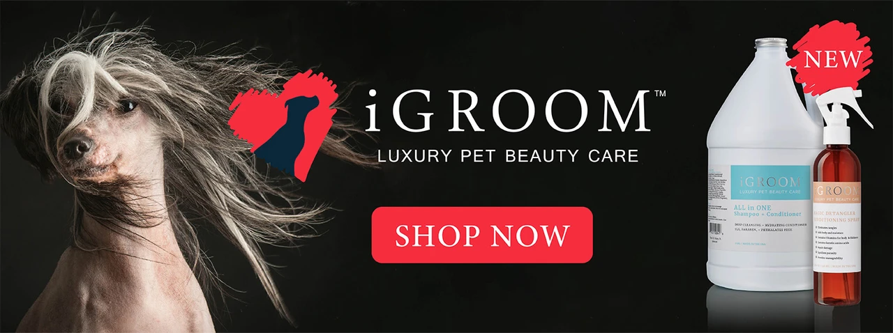 iGroom Luxury Pet Beauty Care homepage banner featuring a Chinese Crested dog and iGroom products