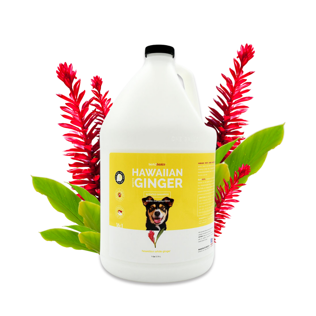 Bark2Basics Hawaiin White Ginger Dog Shampoo, 1 Gallon