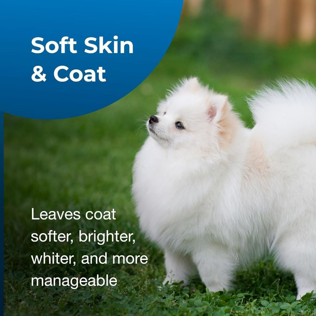 Lambert Kay Snowy-Coat Shampoo 18 oz | Groomer's Choice