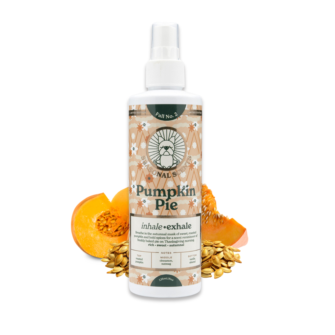 Perfume Oils Pumpkin Pie Lavender Perfume Lavender And Pumpkin Pie